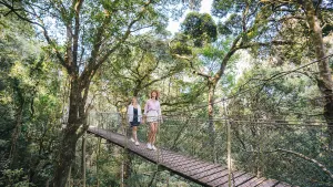 O'Reilly's & Lamington National Park